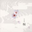 桜.jpg